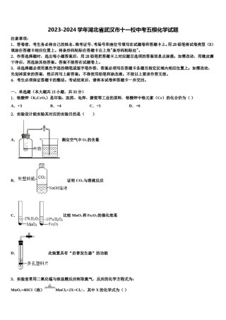 2023-2024学年湖北省武汉市十一校中考五模化学试题含解析.doc
