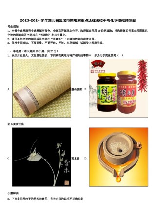 2023-2024学年湖北省武汉市新观察重点达标名校中考化学模拟预测题含解析.doc