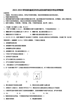 2023-2024学年湖北省武汉市洪山区东湖开发区中考化学押题卷含解析.doc
