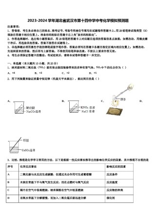 2023-2024学年湖北省武汉市第十四中学中考化学模拟预测题含解析.doc