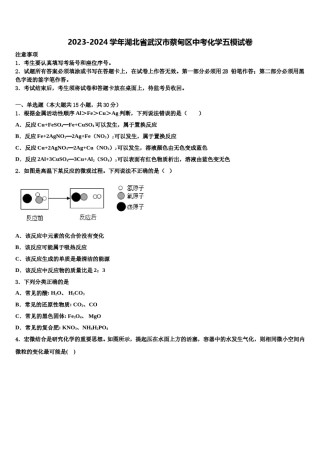 2023-2024学年湖北省武汉市蔡甸区中考化学五模试卷含解析.doc