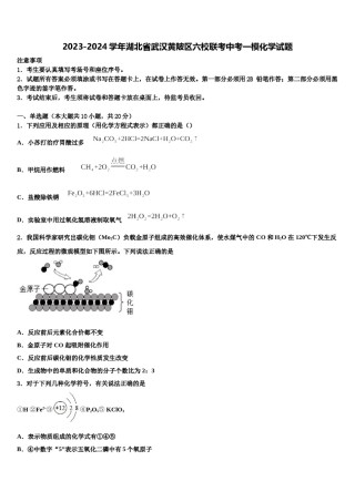 2023-2024学年湖北省武汉黄陂区六校联考中考一模化学试题含解析.doc