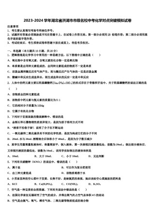 2023-2024学年湖北省洪湖市市级名校中考化学对点突破模拟试卷含解析.doc