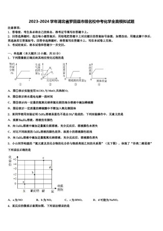 2023-2024学年湖北省罗田县市级名校中考化学全真模拟试题含解析.doc