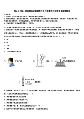 2023-2024学年湖北省襄阳市三十三中市级名校中考化学押题卷含解析.doc