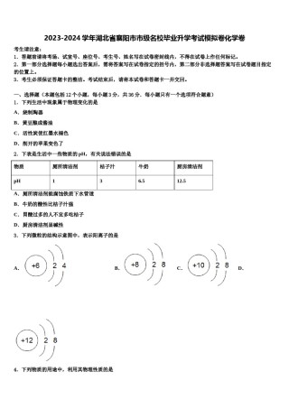 2023-2024学年湖北省襄阳市市级名校毕业升学考试模拟卷化学卷含解析.doc