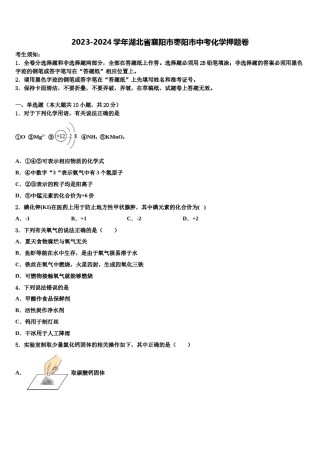 2023-2024学年湖北省襄阳市枣阳市中考化学押题卷含解析.doc