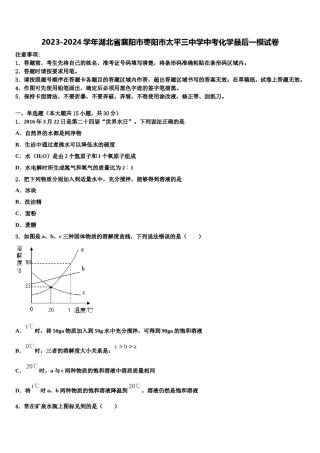 2023-2024学年湖北省襄阳市枣阳市太平三中学中考化学最后一模试卷含解析.doc