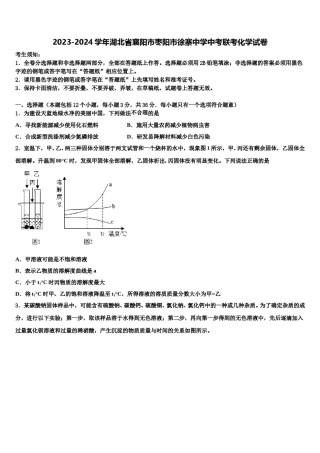 2023-2024学年湖北省襄阳市枣阳市徐寨中学中考联考化学试卷含解析.doc