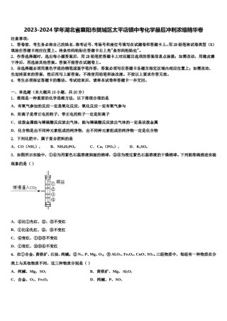 2023-2024学年湖北省襄阳市樊城区太平店镇中考化学最后冲刺浓缩精华卷含解析.doc