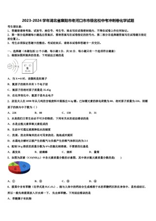 2023-2024学年湖北省襄阳市老河口市市级名校中考冲刺卷化学试题含解析.doc
