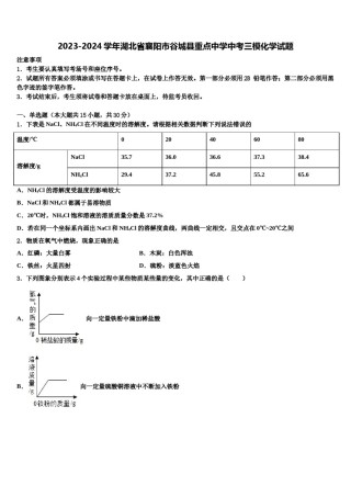 2023-2024学年湖北省襄阳市谷城县重点中学中考三模化学试题含解析.doc
