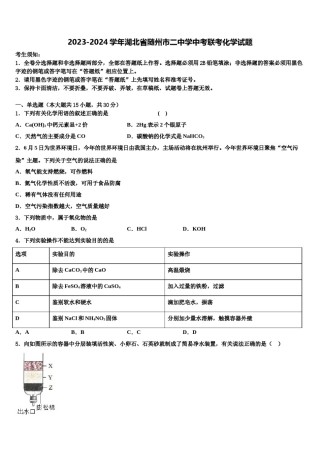 2023-2024学年湖北省随州市二中学中考联考化学试题含解析.doc