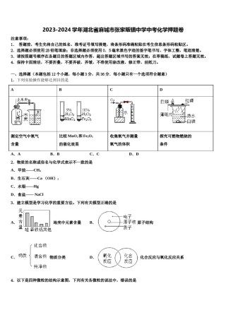 2023-2024学年湖北省麻城市张家畈镇中学中考化学押题卷含解析.doc