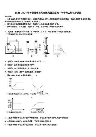 2023-2024学年湖北省黄冈市团风县王亚南中学中考二模化学试题含解析.doc