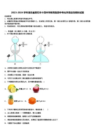 2023-2024学年湖北省黄石市十四中学教育集团中考化学适应性模拟试题含解析.doc