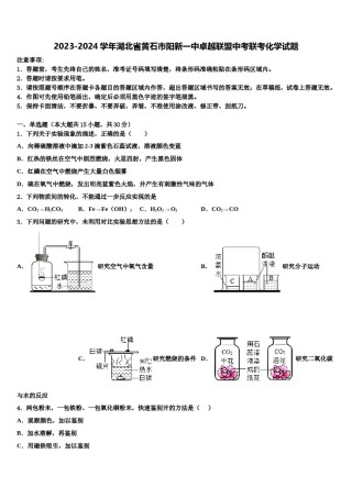 2023-2024学年湖北省黄石市阳新一中卓越联盟中考联考化学试题含解析.doc