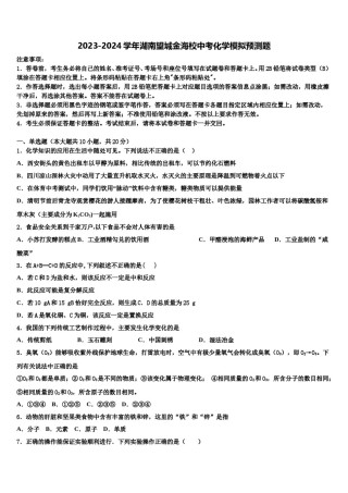 2023-2024学年湖南望城金海校中考化学模拟预测题含解析.doc