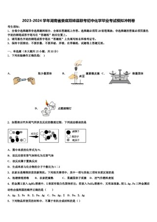2023-2024学年湖南省娄底双峰县联考初中化学毕业考试模拟冲刺卷含解析.doc