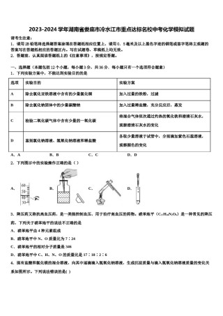 2023-2024学年湖南省娄底市冷水江市重点达标名校中考化学模拟试题含解析.doc