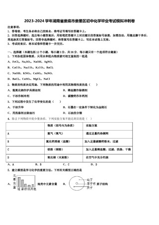 2023-2024学年湖南省娄底市娄星区初中化学毕业考试模拟冲刺卷含解析.doc