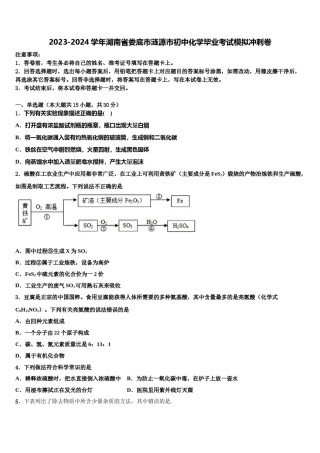 2023-2024学年湖南省娄底市涟源市初中化学毕业考试模拟冲刺卷含解析.doc