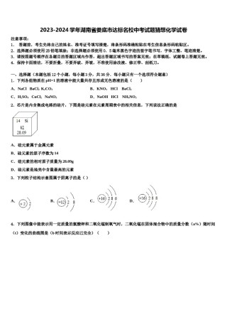 2023-2024学年湖南省娄底市达标名校中考试题猜想化学试卷含解析.doc