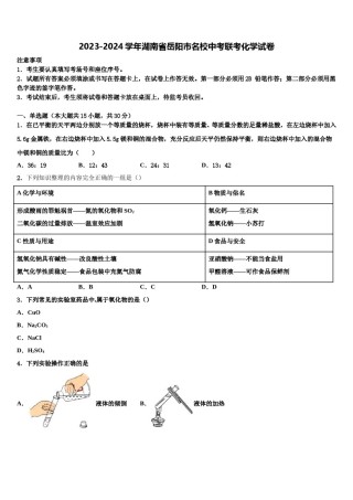 2023-2024学年湖南省岳阳市名校中考联考化学试卷含解析.doc