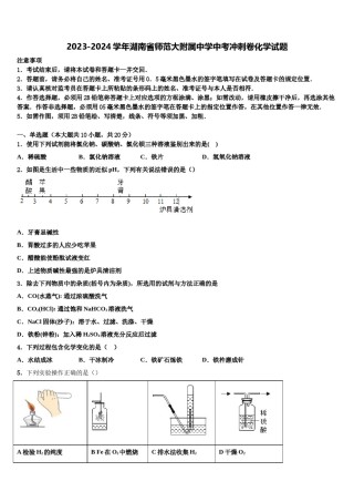 2023-2024学年湖南省师范大附属中学中考冲刺卷化学试题含解析.doc