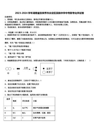 2023-2024学年湖南省张家界市永定区民族中学中考联考化学试卷含解析.doc