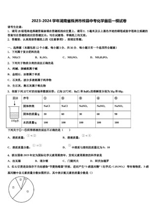 2023-2024学年湖南省株洲市攸县中考化学最后一模试卷含解析.doc