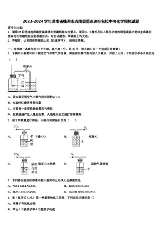 2023-2024学年湖南省株洲市炎陵县重点达标名校中考化学模拟试题含解析.doc