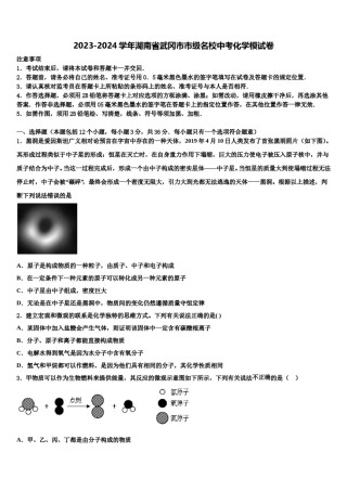 2023-2024学年湖南省武冈市市级名校中考化学模试卷含解析.doc