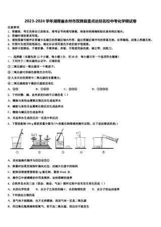 2023-2024学年湖南省永州市双牌县重点达标名校中考化学模试卷含解析.doc