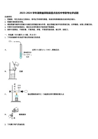 2023-2024学年湖南省邵阳县重点名校中考联考化学试题含解析.doc