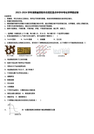 2023-2024学年湖南省邵阳市北塔区重点中学中考化学押题试卷含解析.doc