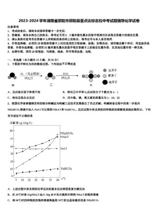 2023-2024学年湖南省邵阳市邵阳县重点达标名校中考试题猜想化学试卷含解析.doc