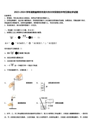 2023-2024学年湖南省郴州市资兴市兴华实验校中考五模化学试题含解析.doc