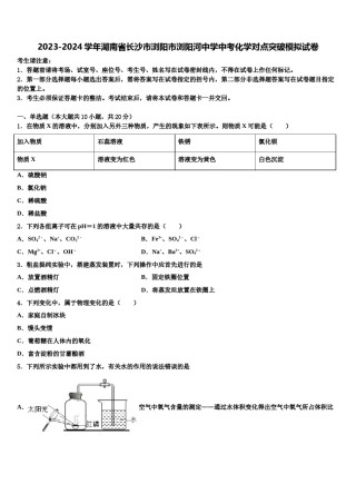 2023-2024学年湖南省长沙市浏阳市浏阳河中学中考化学对点突破模拟试卷含解析.doc