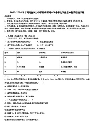 2023-2024学年湖南省长沙市长郡梅溪湖中学中考化学最后冲刺浓缩精华卷含解析.doc