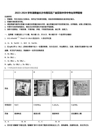 2023-2024学年湖南省长沙市雨花区广益实验中学中考化学押题卷含解析.doc