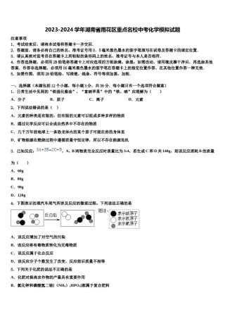 2023-2024学年湖南省雨花区重点名校中考化学模拟试题含解析.doc