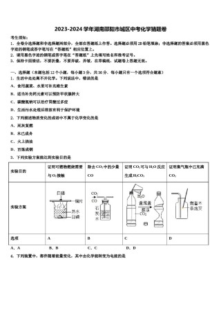 2023-2024学年湖南邵阳市城区中考化学猜题卷含解析.doc