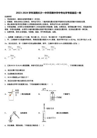 2023-2024学年湖南长沙一中学岳麓中学中考化学考前最后一卷含解析.doc