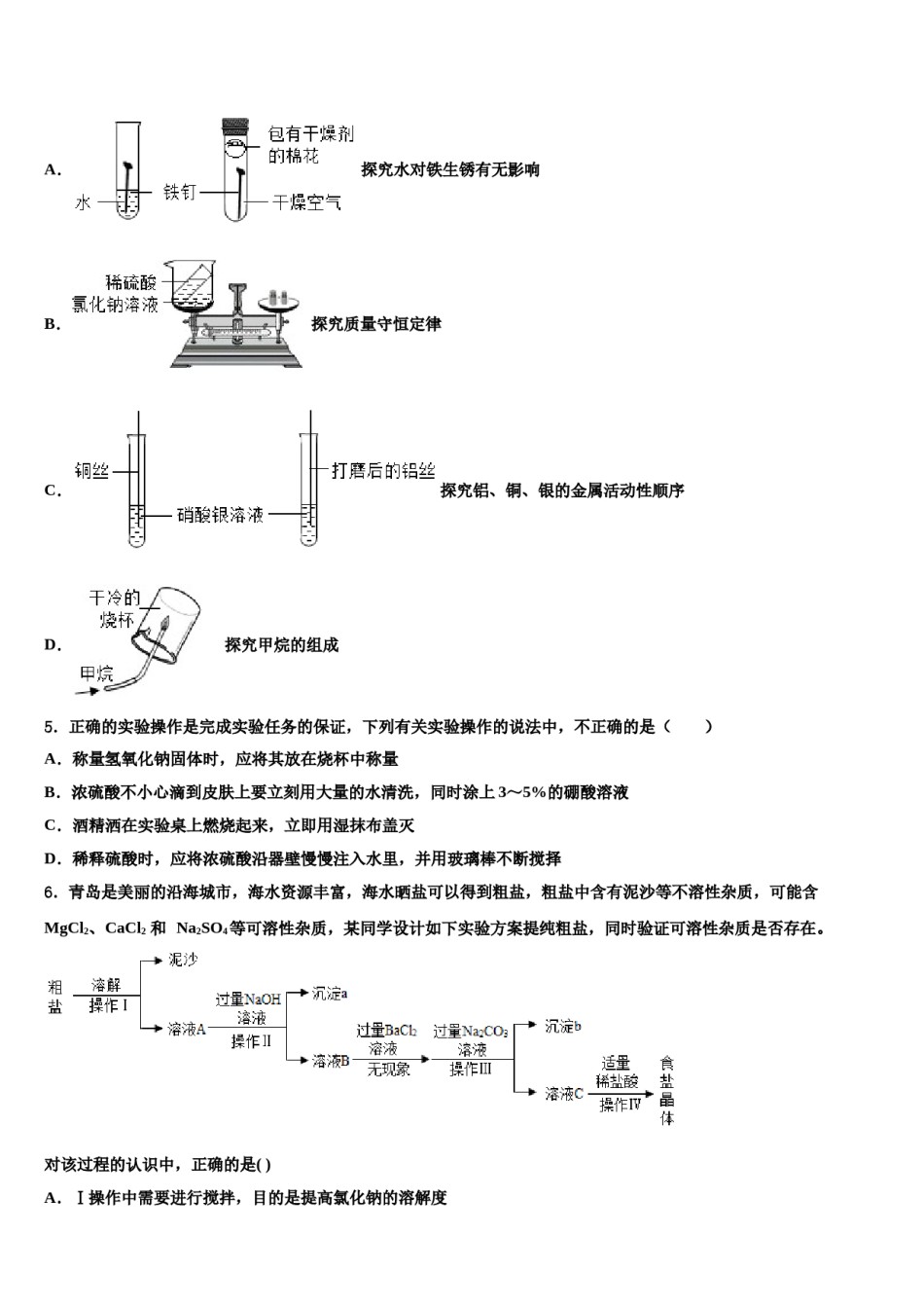 2023-2024学年湖南长沙市一中学集团中考化学考试模拟冲刺卷含解析.doc_第2页