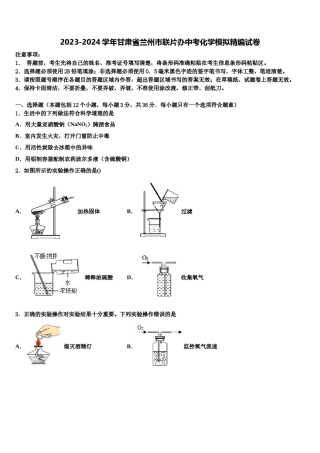 2023-2024学年甘肃省兰州市联片办中考化学模拟精编试卷含解析.doc