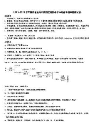 2023-2024学年甘肃省兰州市西固区桃园中学中考化学模拟精编试卷含解析.doc