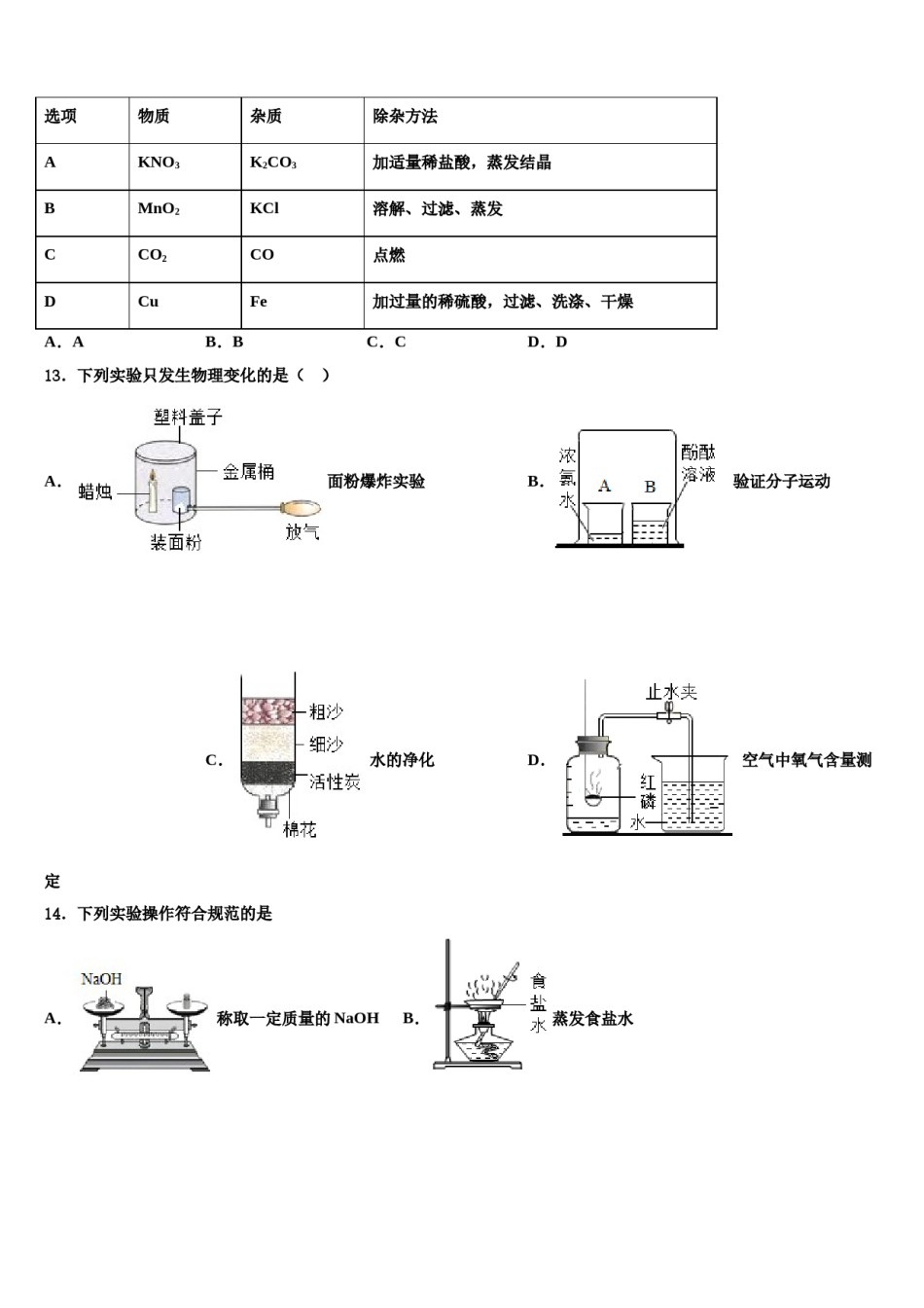 2023-2024学年甘肃省广河县重点中学中考化学押题试卷含解析.doc_第3页