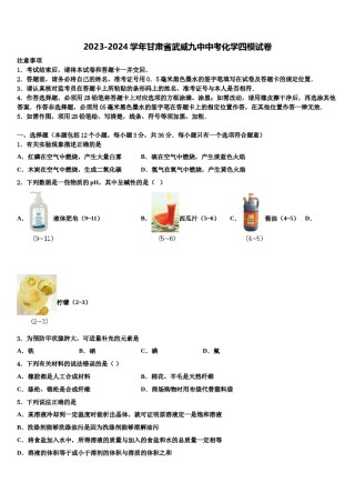 2023-2024学年甘肃省武威九中中考化学四模试卷含解析.doc