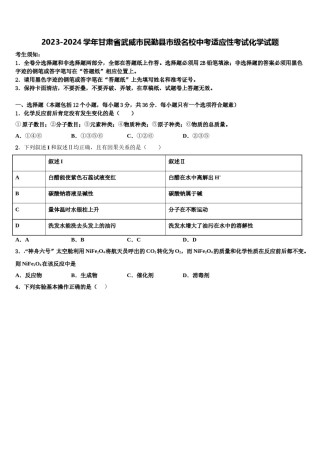 2023-2024学年甘肃省武威市民勤县市级名校中考适应性考试化学试题含解析.doc